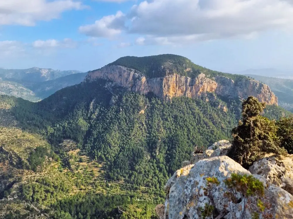 View from a day hike to Alaró Castle in Mallorca (2026 Guide)