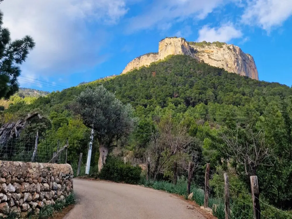 The road leading up to the Alaro Castle and the best lamb restaurant in Mallorca