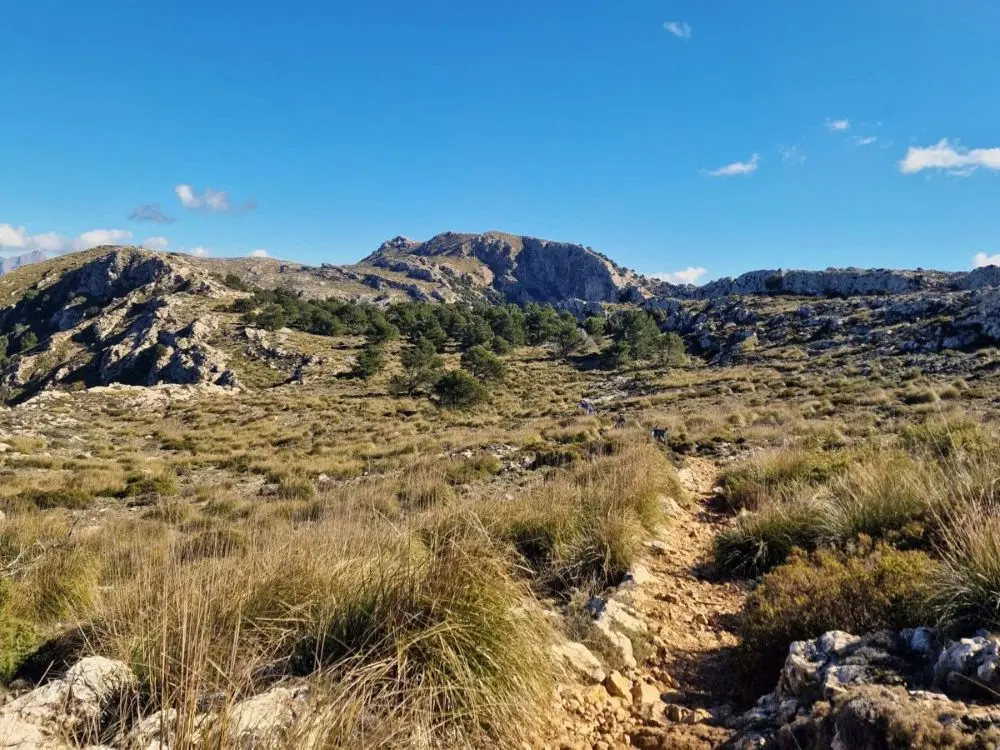 The Archduke's Trail: Must-Do Mallorca Hike from Valldemossa