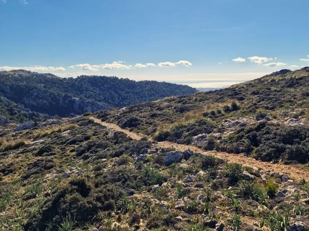 The Archduke's Trail: Must-Do Mallorca Hike from Valldemossa