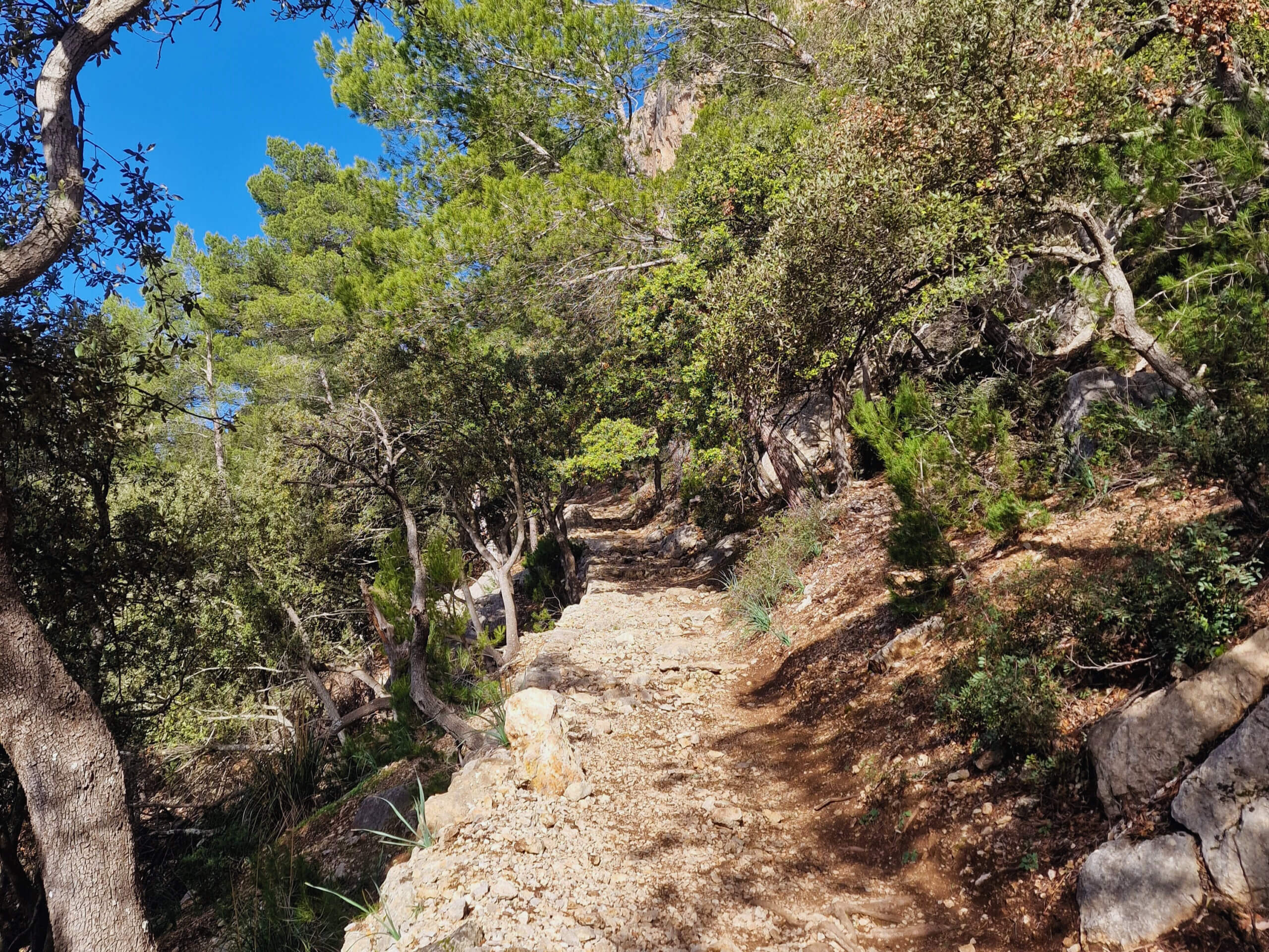Castell d’Alaró Hike: Mallorca’s Legendary Castle Trail