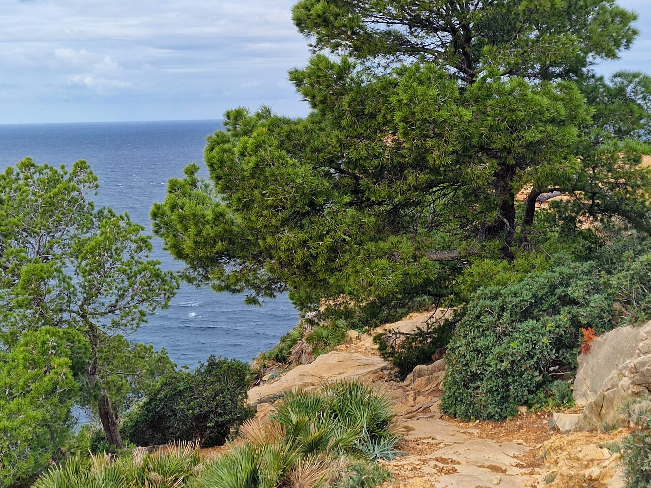 La Trapa Hiking Trail: Epic Coastal Hike, Mallorca
