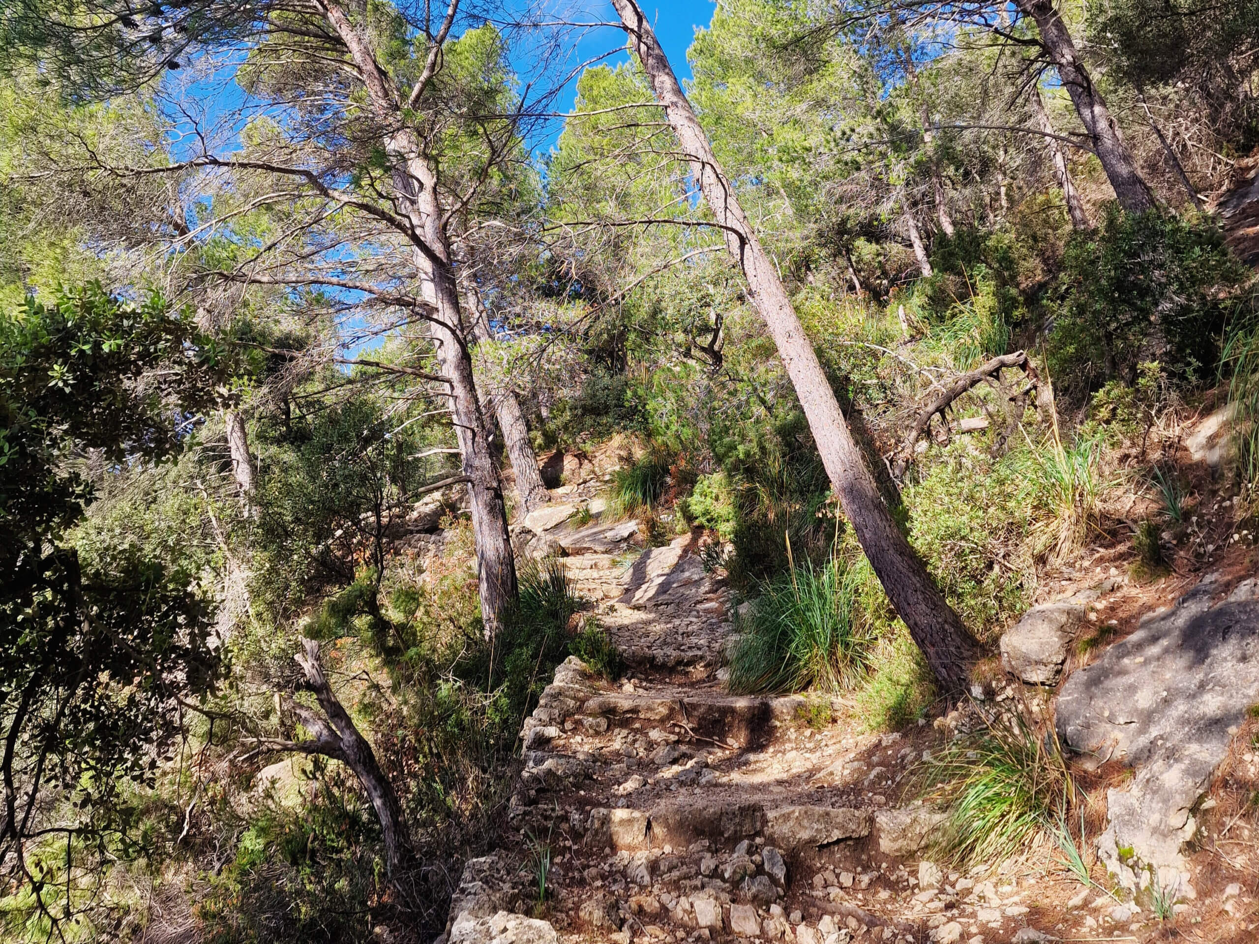 Castell d’Alaró Hike: Mallorca’s Legendary Castle Trail