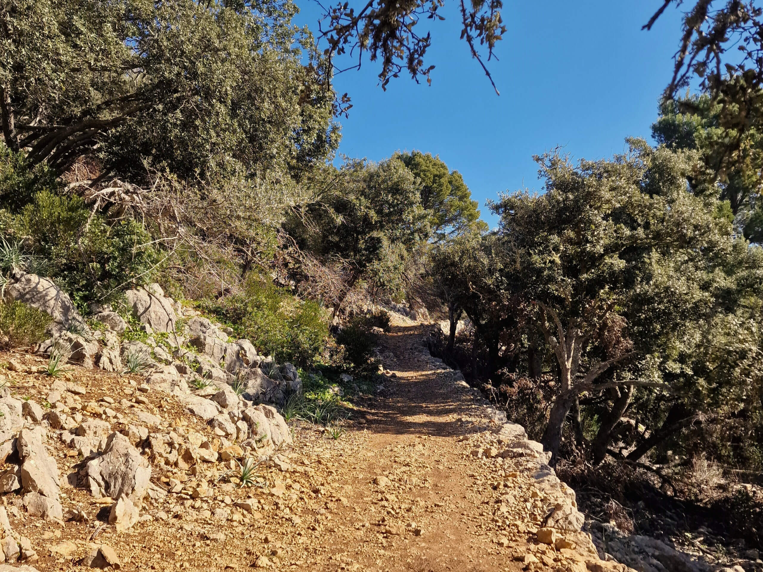 The Archduke's Trail: Must-Do Mallorca Hike from Valldemossa