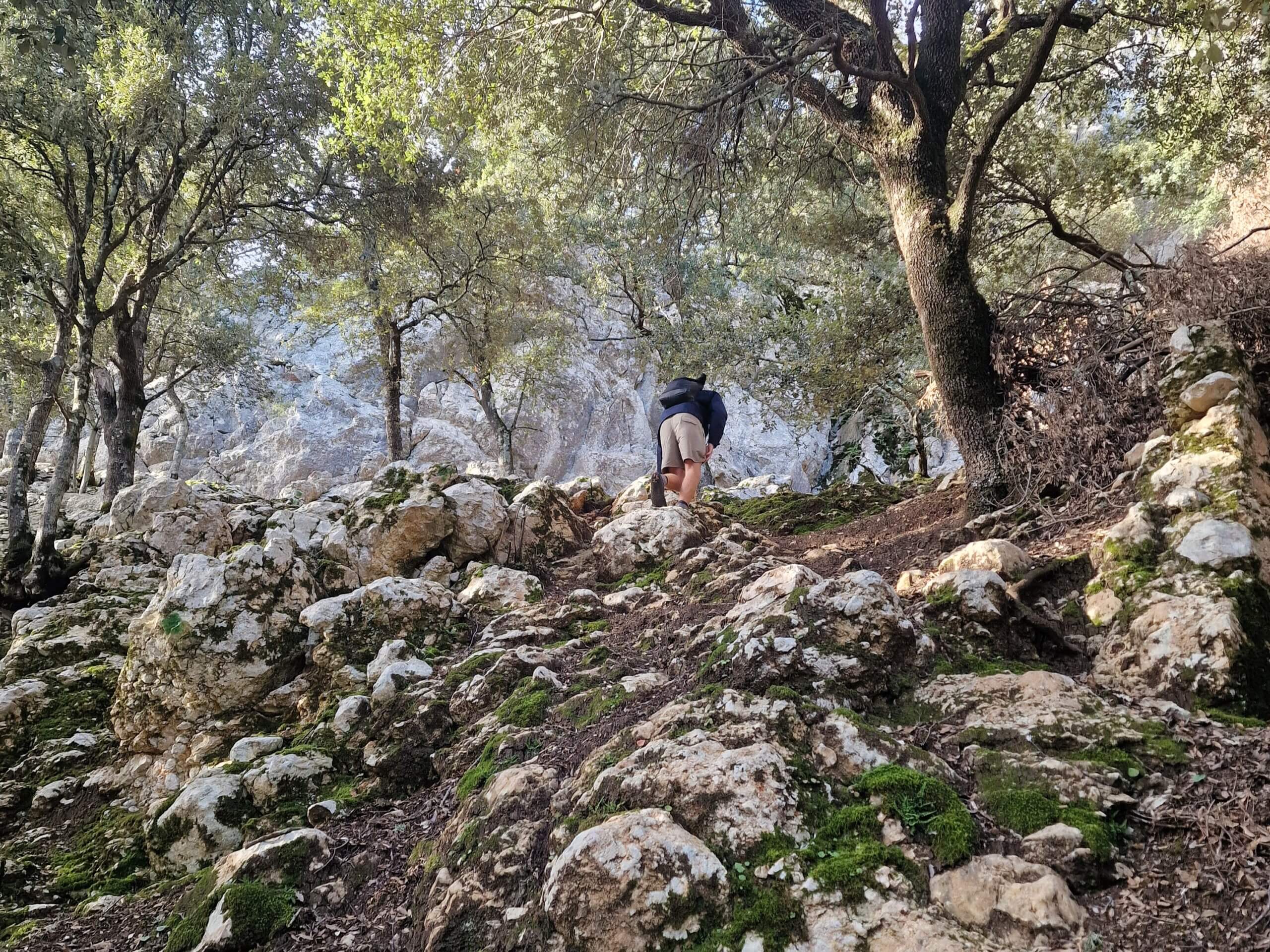 Puig de Massanella: Ultimate Mallorca Hiking Guide