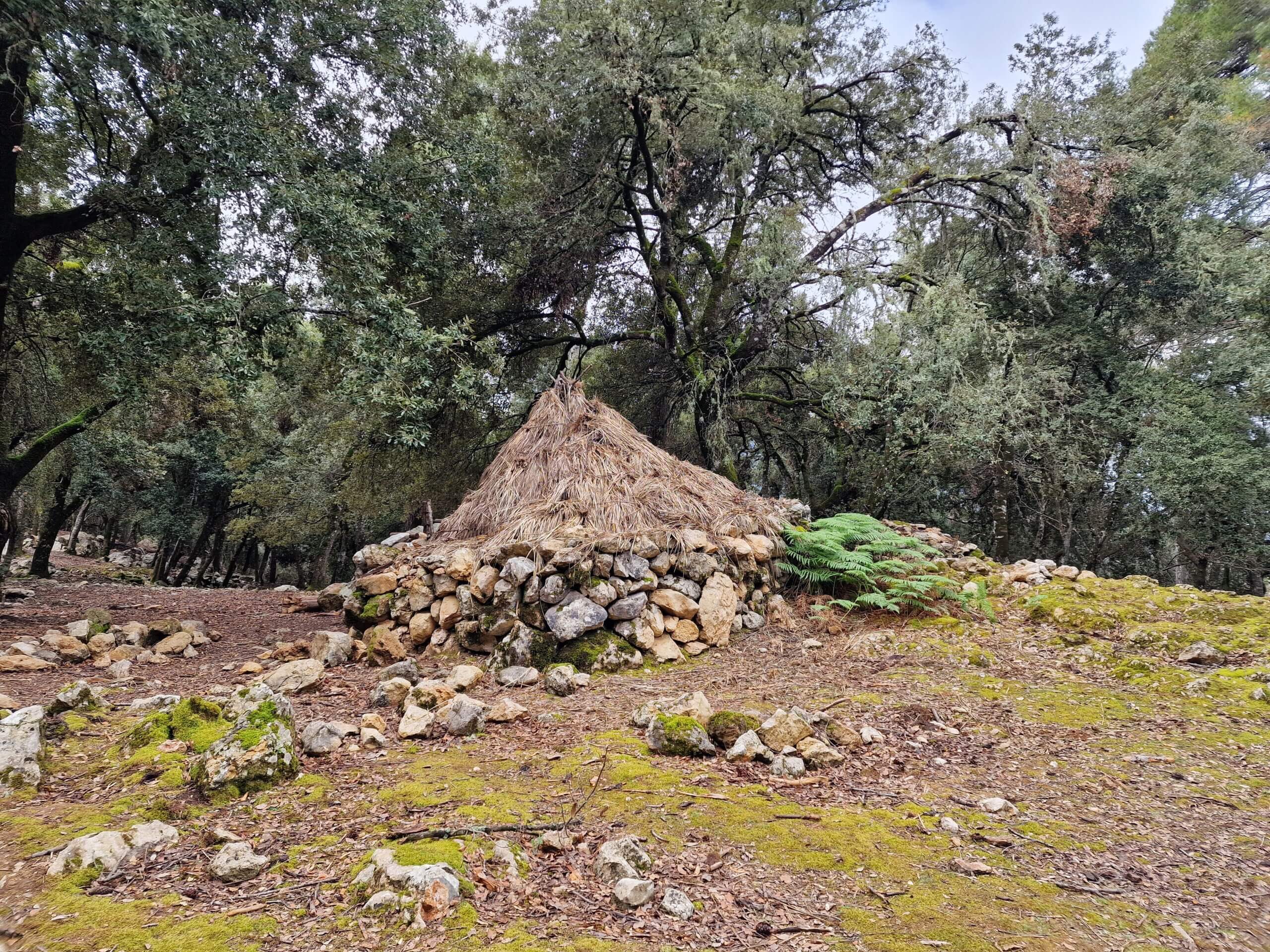 Why Puig Tomir Is One of the Best Hikes in Mallorca