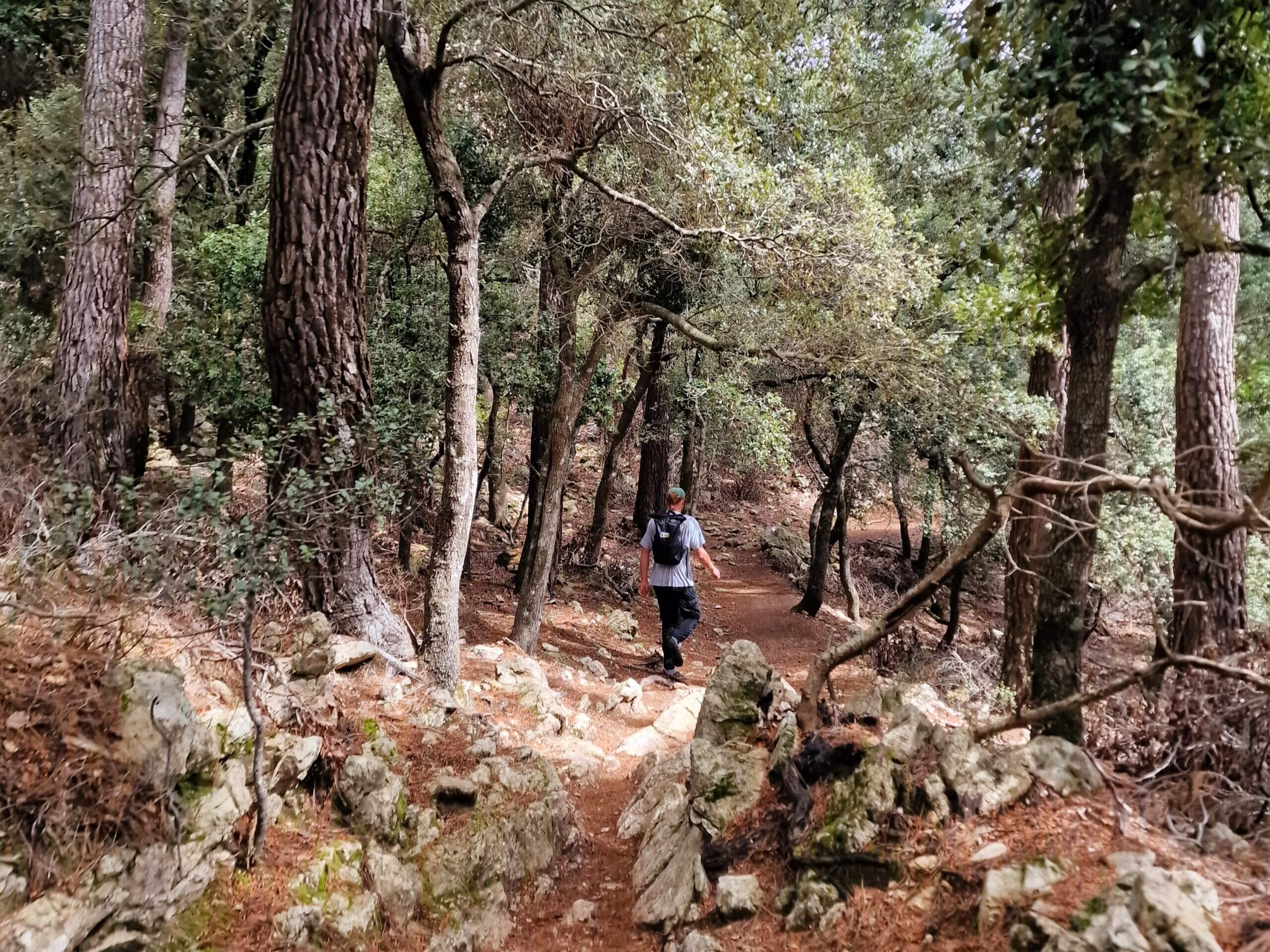 Why Puig Tomir Is One of the Best Hikes in Mallorca