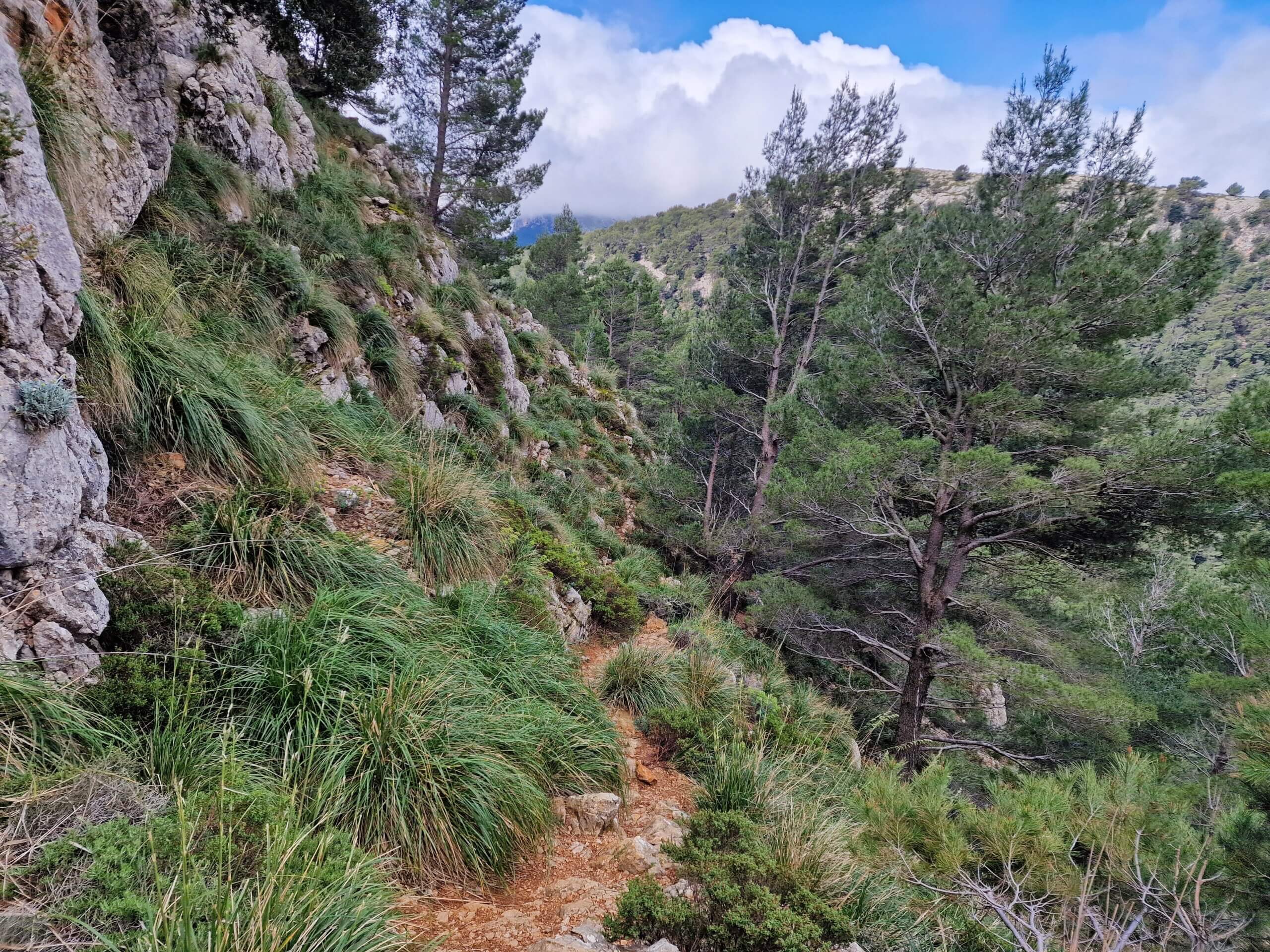 Why Puig Tomir Is One of the Best Hikes in Mallorca