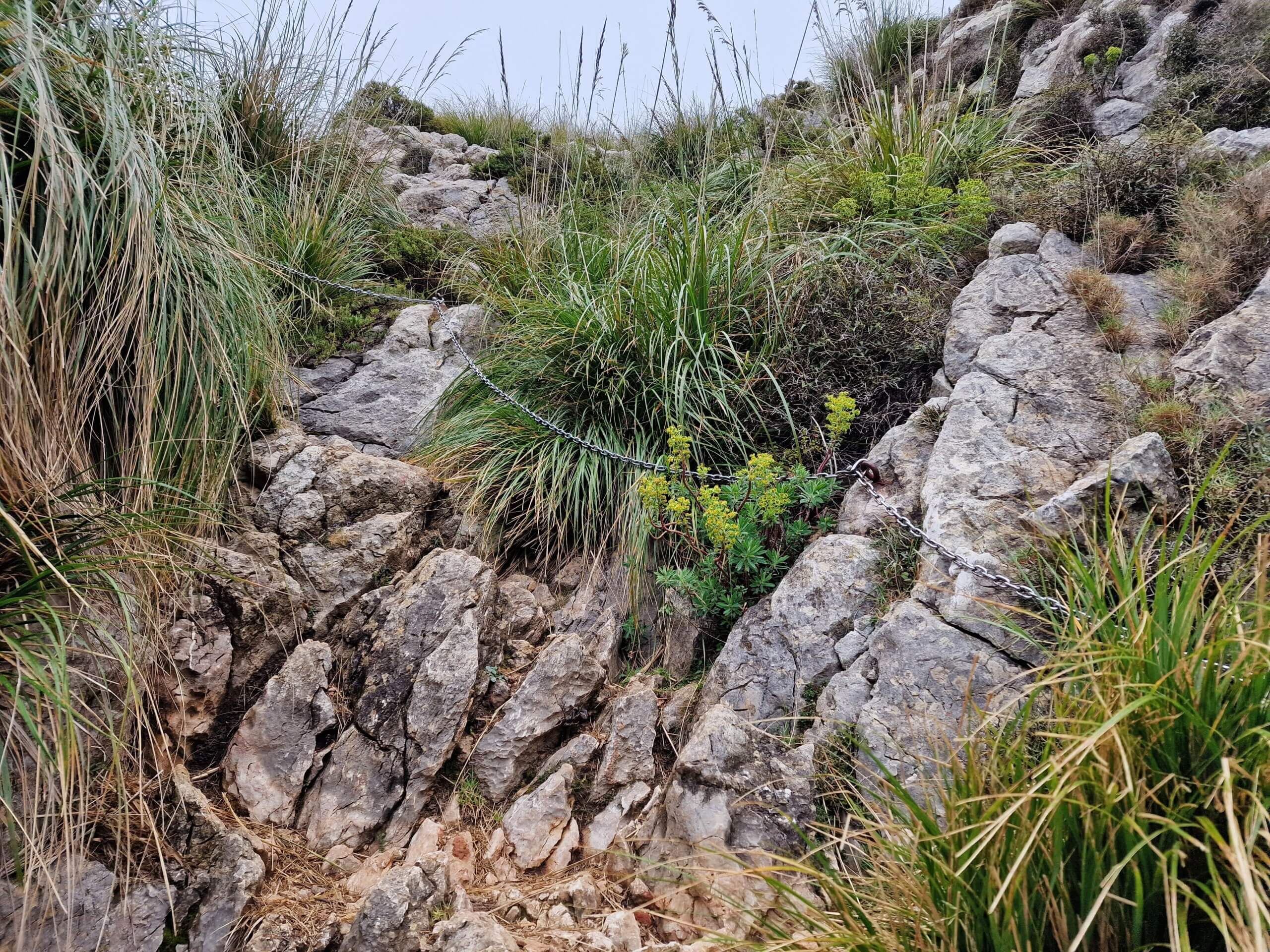 Why Puig Tomir Is One of the Best Hikes in Mallorca