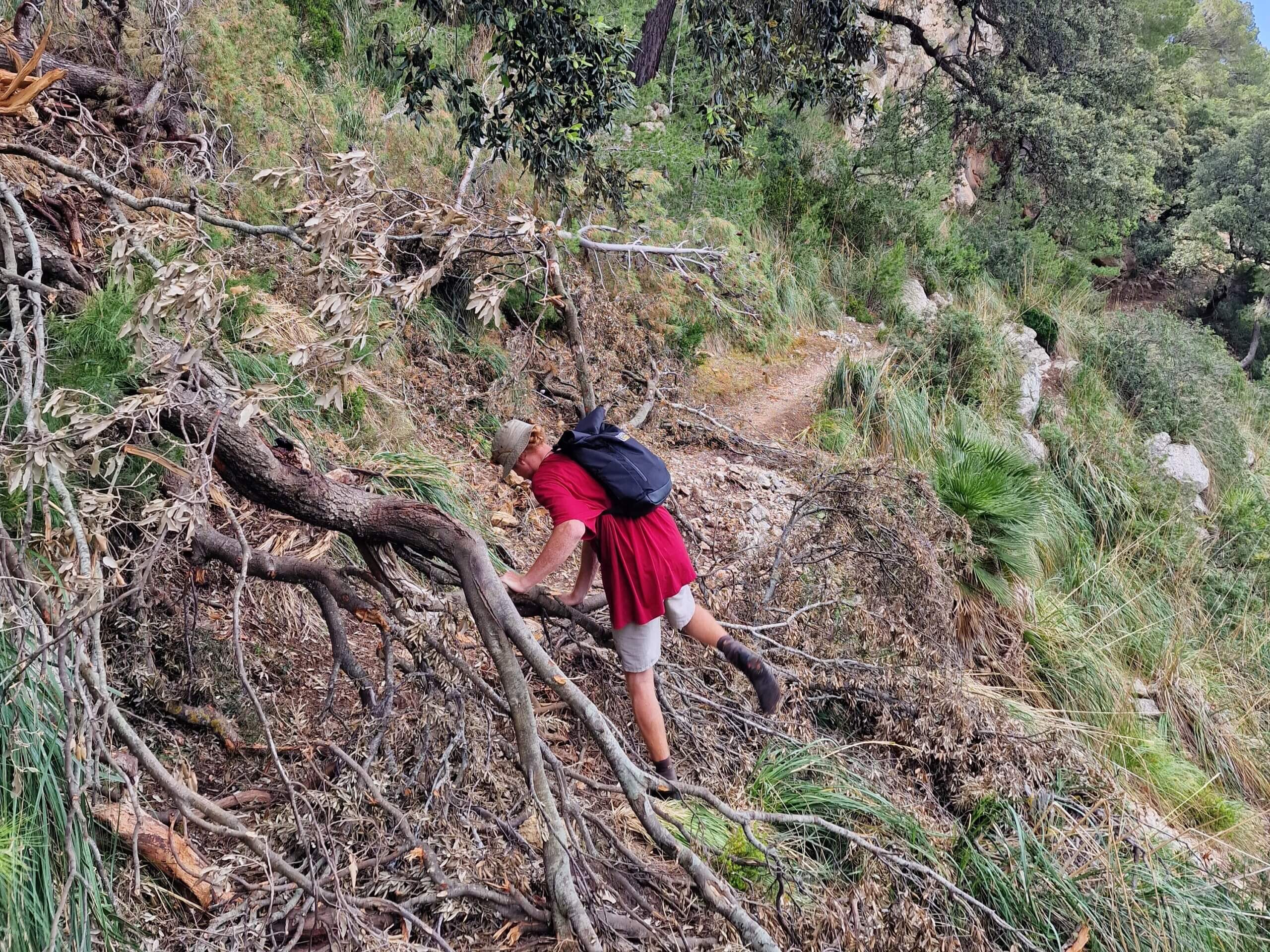Hiking Puig de Galatzó: One of Mallorca’s Best Trails