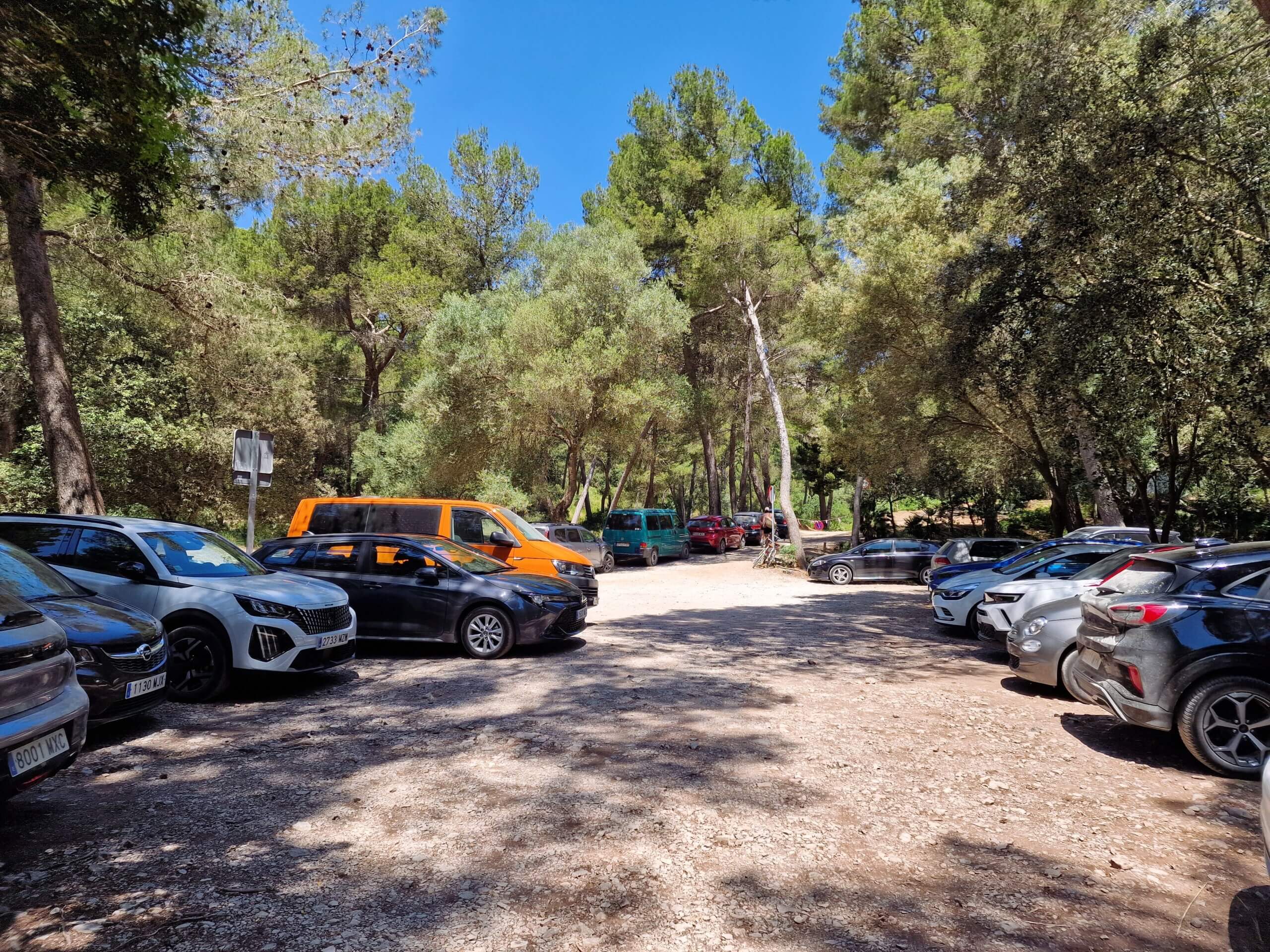 Coll Baix Beach Guide: Hidden Gem near Alcudia, Mallorca