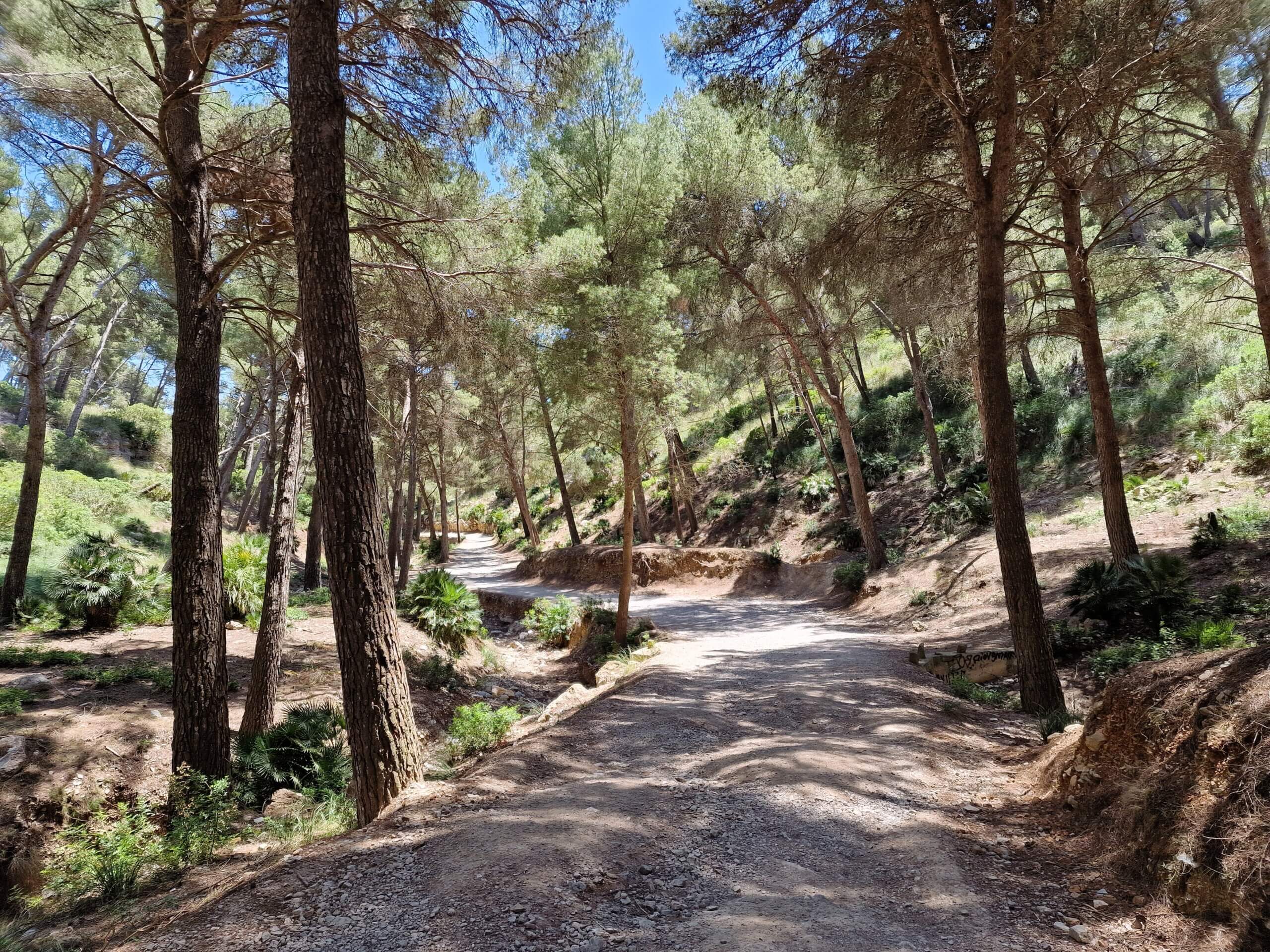 Coll Baix Beach Guide: Hidden Gem near Alcudia, Mallorca