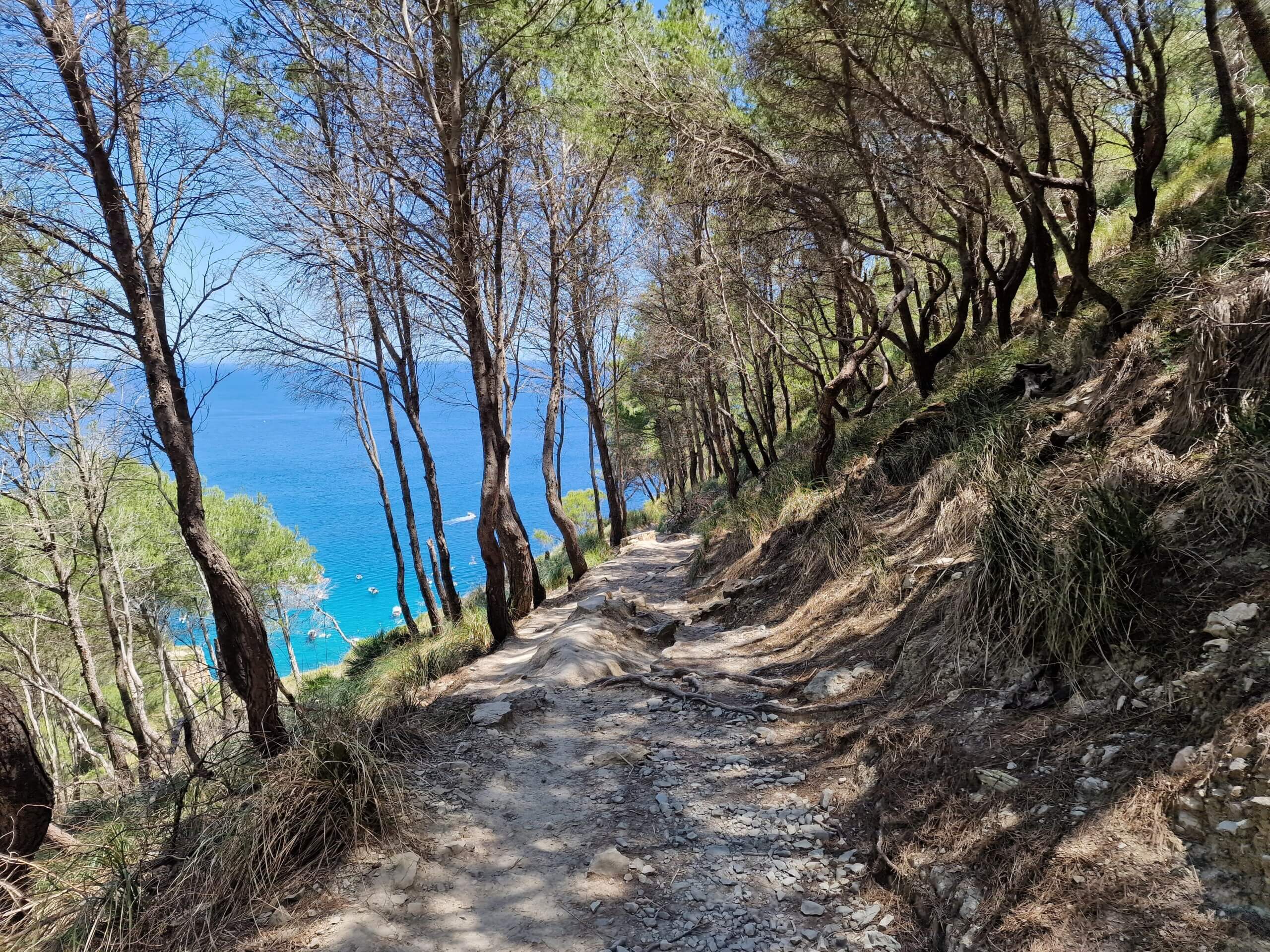 Coll Baix Beach Guide: Hidden Gem near Alcudia, Mallorca