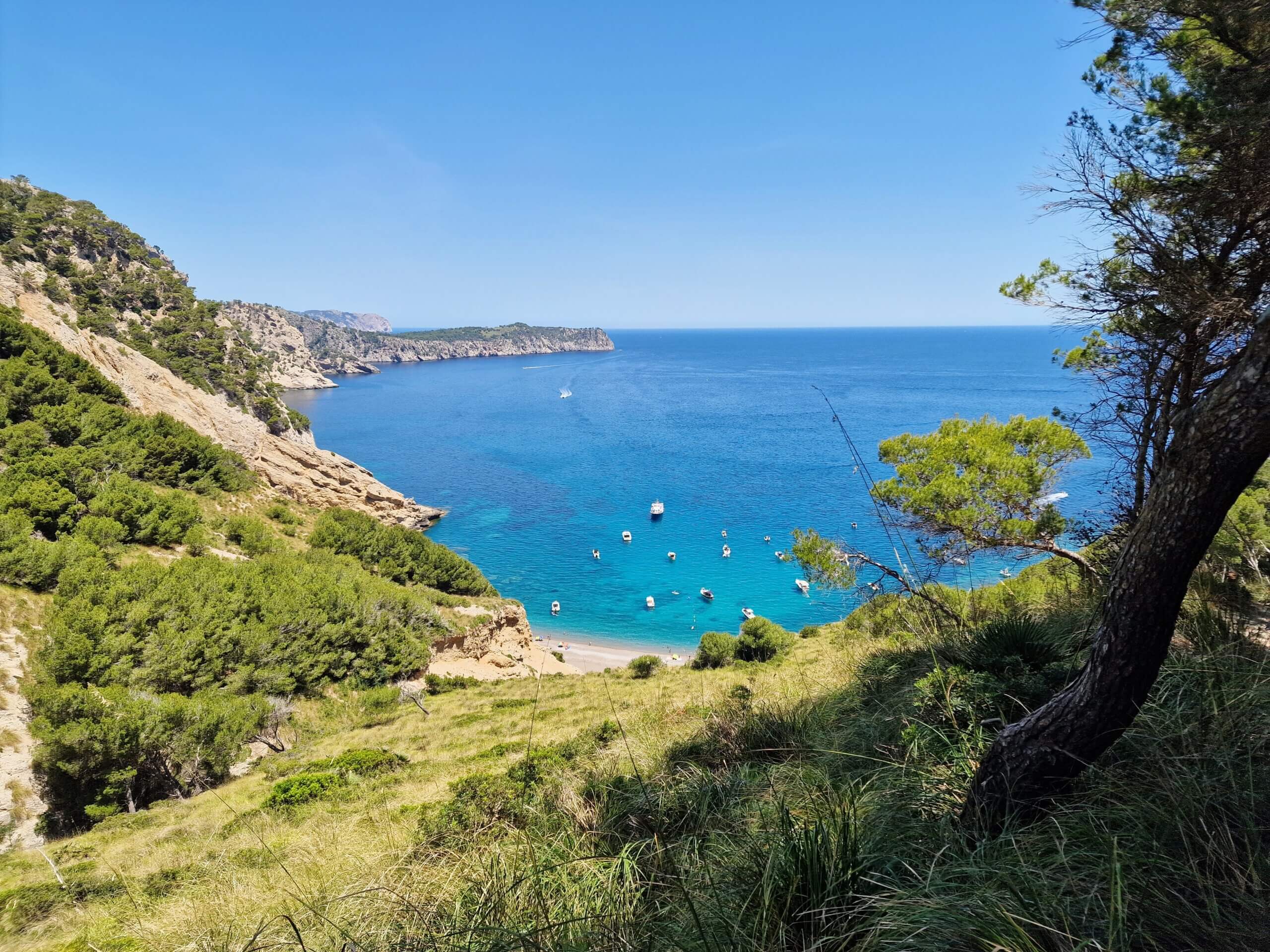 Coll Baix Beach Guide: Hidden Gem near Alcudia, Mallorca