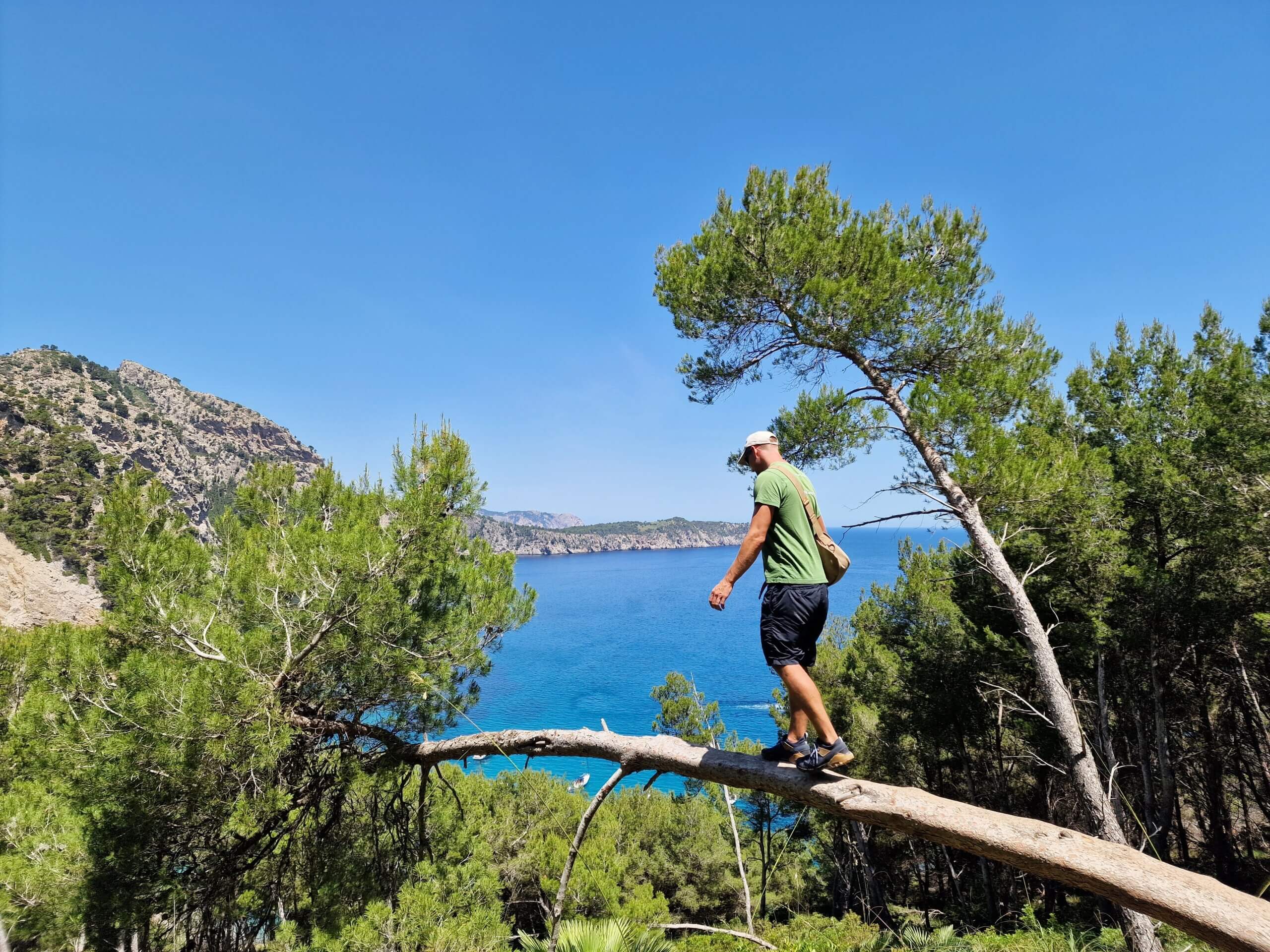 Coll Baix Beach Guide: Hidden Gem near Alcudia, Mallorca